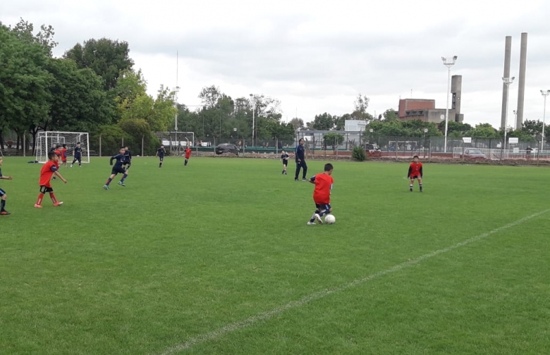 Cuervitos seleccionados