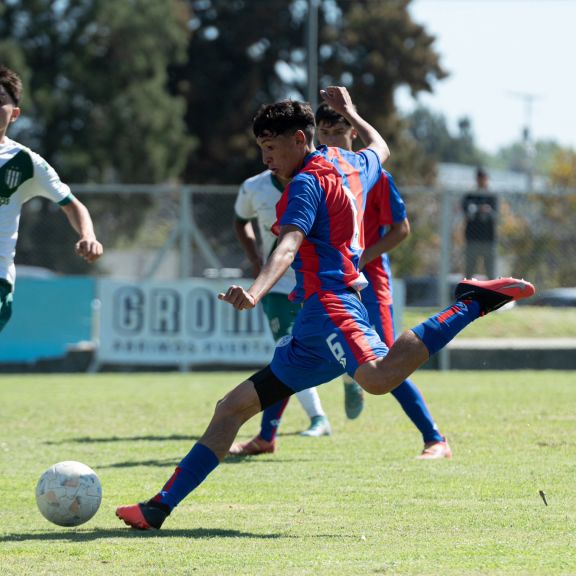 Cosecha perfecta en casa 